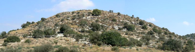 Старинный город Лахиш в Израиле - фото