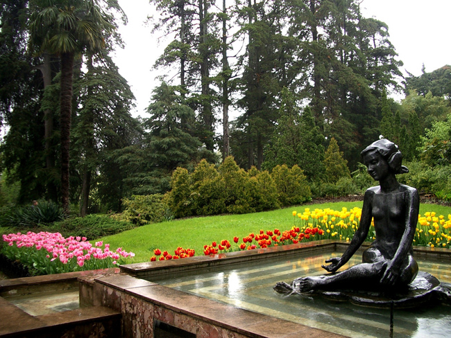 Ботанический сад в Сочи - фото