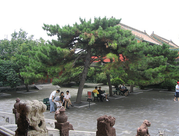 Шеньян - Императорский дворец (Гугун)