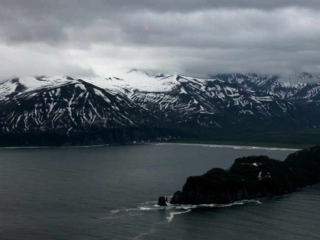 Дайвинг на Камчатке - фото