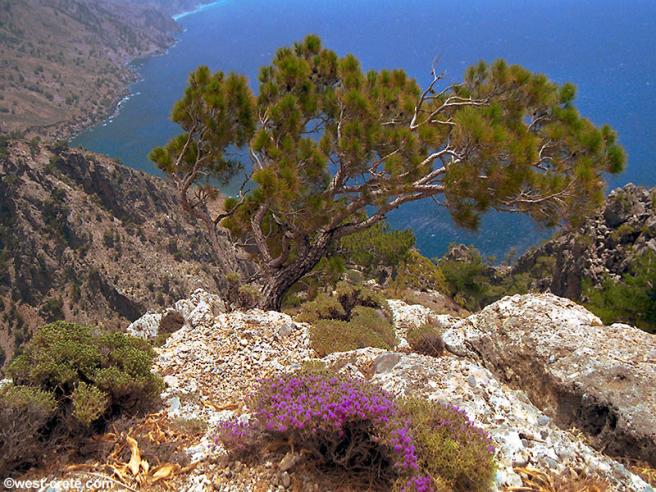 Греция. Остров Крит, фото west-crete.com