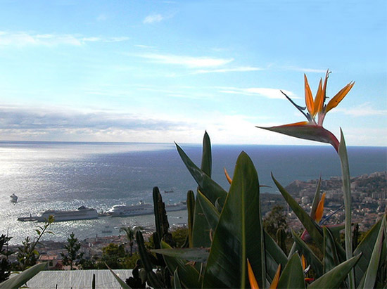 Мадейра - побережье - фото