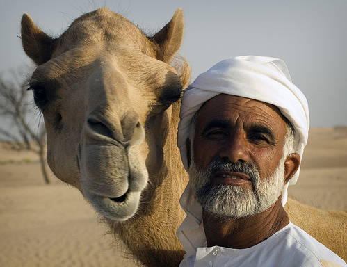 Ум-Аль-Кувейн - эмират ОАЭ - фото