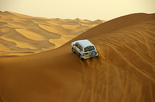 Сафари в ОАЭ - фото flickr.com