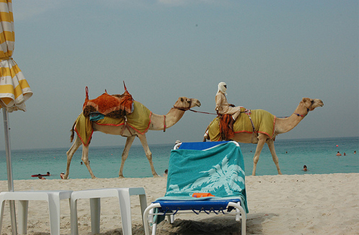 Пляжи в ОАЭ - фото flickr.com