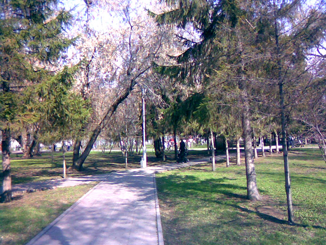 Новосибирск - Парк - 9 мая - фото с сайта Avialine.com