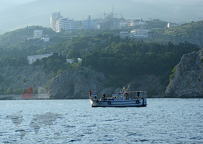 Рыбалка в Крыму - Гурзуф - фото