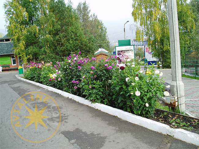 Зоопарк - Красноярск - картинки