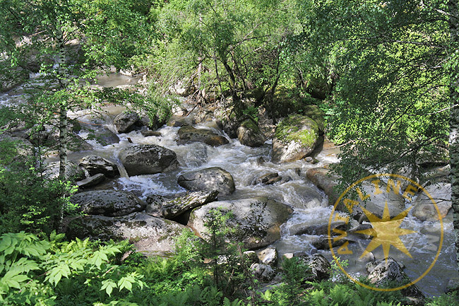 Речки - горные реки - прогулки по лесу - фото