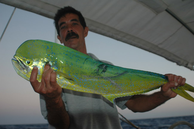 Куба - экзотическая рыбалка