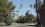 Beverly Hills - город звезд и миллионеров, известен пышными пейзажами. Бульвар с растущими пальмами.