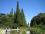 Никитский ботанический сад - розарий, пруд, кипарисы